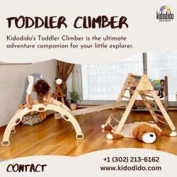 Toddler Climber