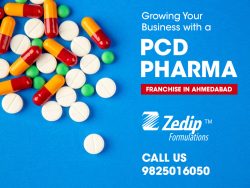 Top Pcd Pharma Franchise Company IN Ahmedabad