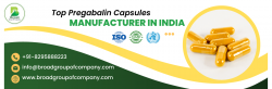 Pregabalin Tablets Manufacturing Company in India