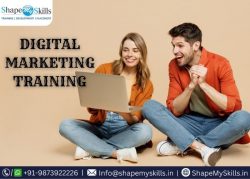 Topmost Digital Marketing Training in Noida at ShapeMySkills