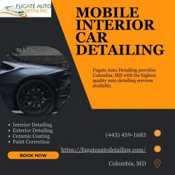 Transform Your Car’s Interior with Professional Mobile Detailing Services