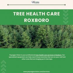 Tree Health Care Roxboro