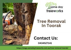 Tree Removal in Toorak: Professional Services for Your Tree Care Needs