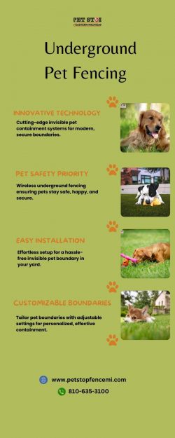 Explore the Best Underground Pet Fencing Solutions for a Safe and Happy Pet
