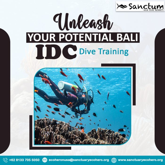 Unleash Your Potential- Bali IDC Dive Training