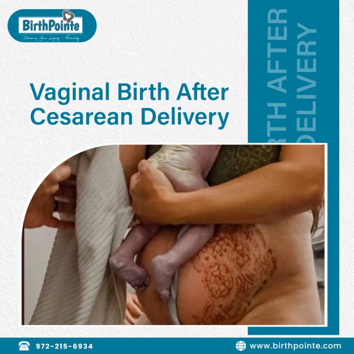 Vaginal Birth After Cesarean Delivery