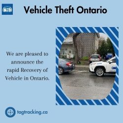 Vehicle Theft Ontario