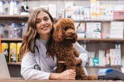 Veterinary Patient Financing