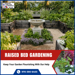 Vibrant Garden Bedding Services