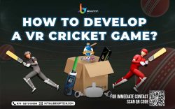 How To Develop A VR Cricket Game?