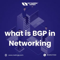 What is BGP in Networking