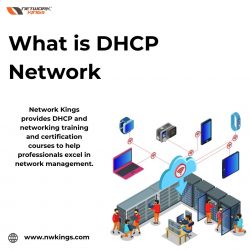 What is DHCP Network – Network Kings