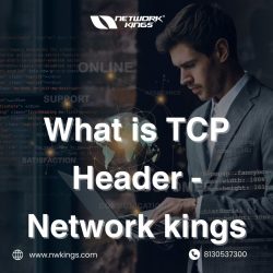 What is TCP Header – Network kings