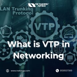 What is VTP in Networking – Network Kings