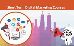 Short term certification course in Digital Marketing , Duration 1 Month