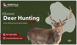 Whitetail Cunning Wilderness Hunting