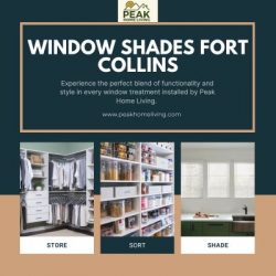 Transform Your Space with Window Shades