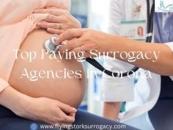 Find Top Paying Surrogacy Agencies in Corona