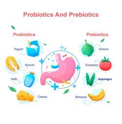 Best Probiotics