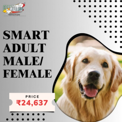 Smart Adult Male/Female Dog Health Care Plan