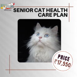Senior Cats Healthcare Plan