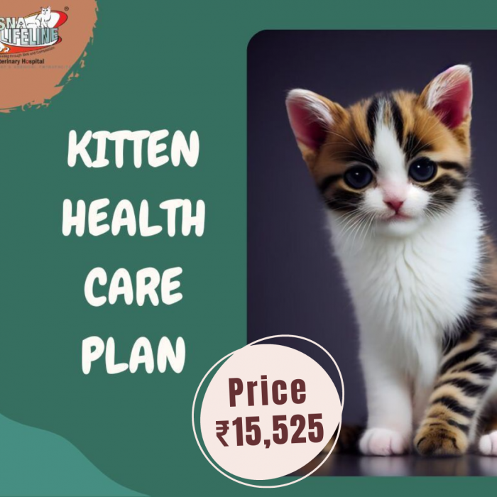 Kitten Health Care Plan
