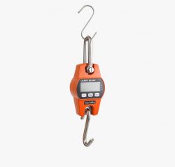 electronic crane weighing scale
