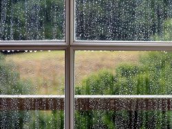 Tailored Protection for Your Home with Custom Storm Windows