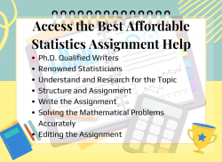 Access The Best Affordable Statistics Assignment Help!