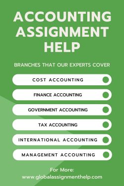 Examining Business Procedures: Accounting Assignment Help