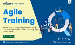Agile certification training