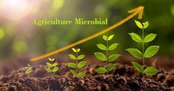 Agricultural Microbials Market Rising Concerns for Sustainable Agriculture