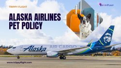 Alaska Airlines Pet Policy | Trippy Flight