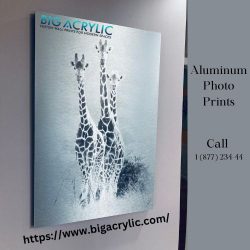 Aluminium Photo Prints