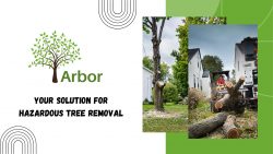 Arbor Tree and Stump Removal – Your Solution for Hazardous Tree Removal