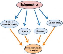 Epigenetics Market Projected to Surpass $5.47 Billion in Value by 2030
