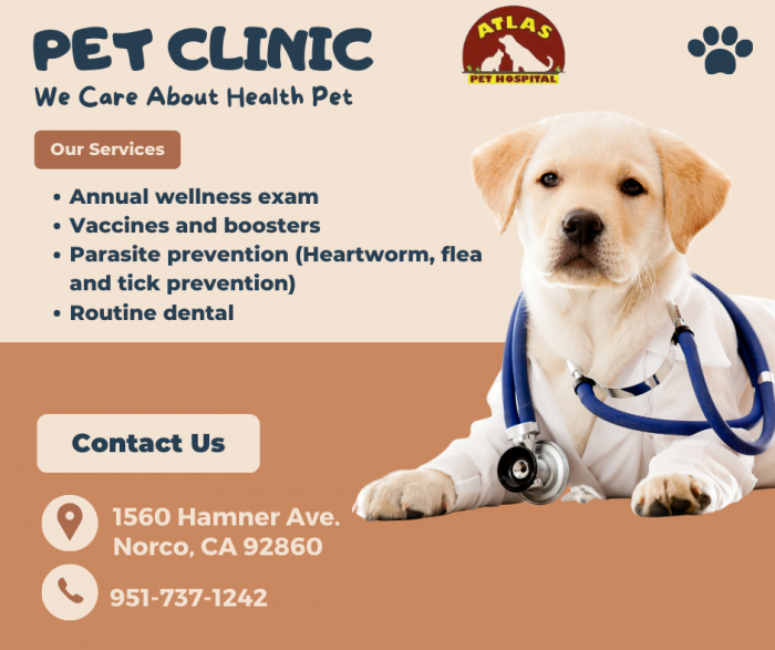 Pet Care Hospital and Wellness Center – Atlas Pet Hospital