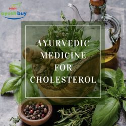 Ayurvedic Medicine for Cholesterol