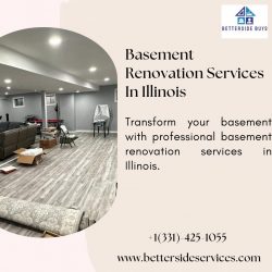 Basement Renovation Services In Illinois