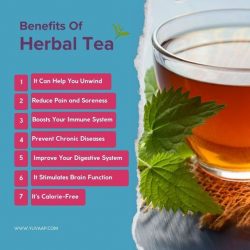 7 Health Benefits of Herbal Tea