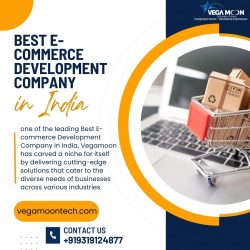 Best E-commerce Development Company in India