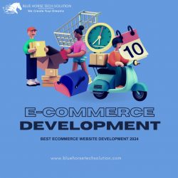 Best Ecommerce Website Development 2024