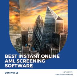 Best Instant Online AML Screening Software