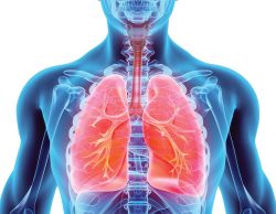 Best Method for Lungs Capacity Improvement