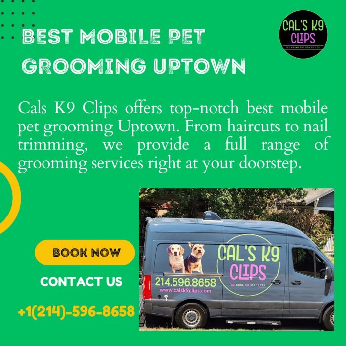 Best Mobile Pet Grooming Uptown