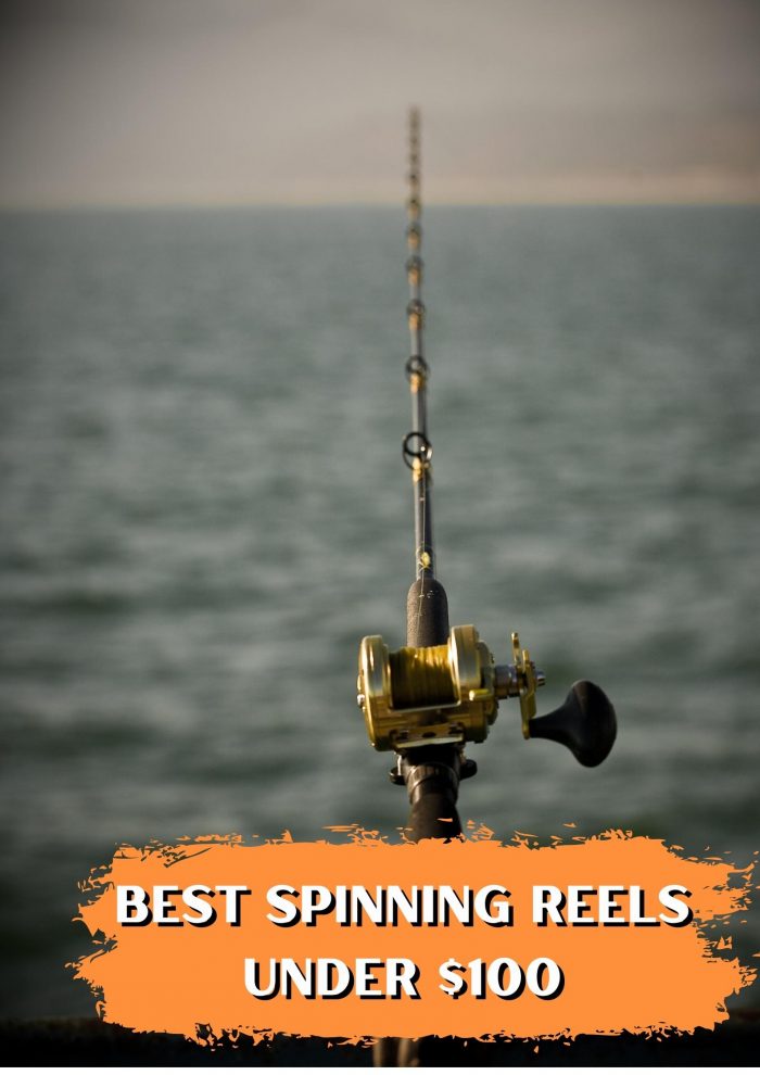 Finding the Best Spinning Reels Under $100 at Fishinges