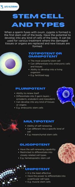 Types of Stem Cell