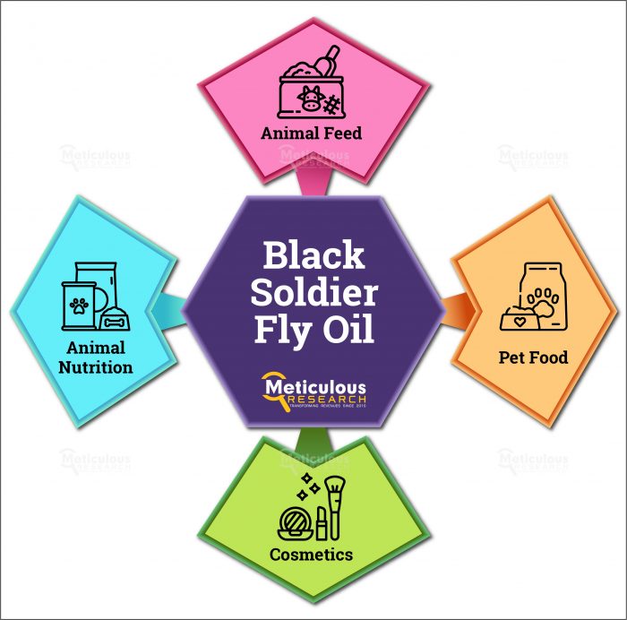 Black Soldier Fly Oil Market Worth $72 Million by 2029 – Meticulous Research