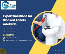 Expert Solutions for Blocked Toilets Adelaide