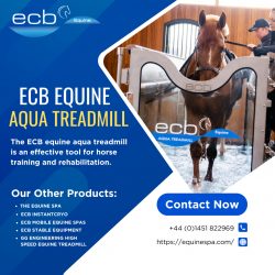 Looking For the Best Horse Treadmill Price in UK
